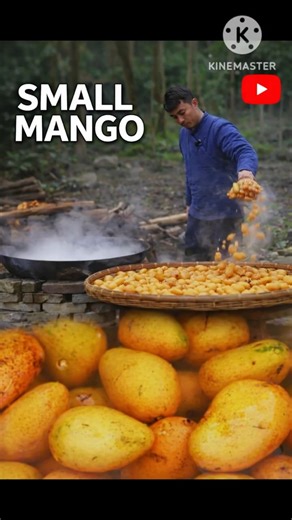 Small Mango Wine Making at Home 🥭🍷 | Natural Fermentation #wine #winemaking #homemade #homemadewine