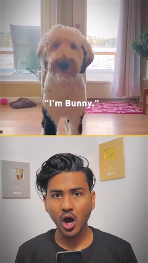 This Dog Can Talk Using Buttons 😳