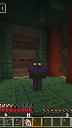 ‪@xisumavoid‬ is AN ARTIST #hermitcraft #minecraft #mcyt #gaming #fyp #shorts