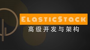 【P6】ElasticStack高级开发与架构（实战）