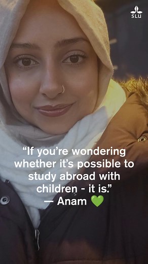 When Anam moved from Pakistan to Sweden to begin her master’s at SLU Uppsala, she stepped into a new chapter filled with both academic challenges and the everyday realities of raising two young children. From early starts and lectures to supporting her children through Sweden’s förskola system, she has found a routine that blends family life with university studies. In her story, Anam reflects on the support available for student parents in Sweden, what a typical day looks like, and some of her 