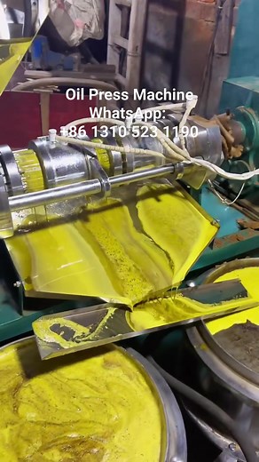 648 reactions · 31 shares | Oil Press Machine WhatsApp: +86 1310 523 1190 | Malik Arif | Facebook