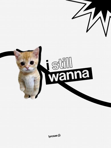 Best Friend Lyrics by Rex Orange County