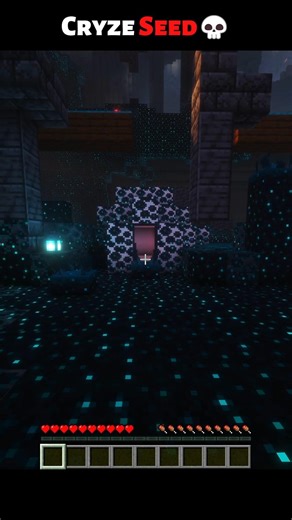 Minecraft Igloo Seed Moments