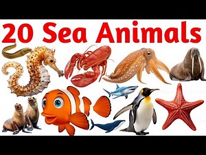 20 Ocean Animals for Kids | Fun Learning Sea Creatures Names with Pictures and Sounds