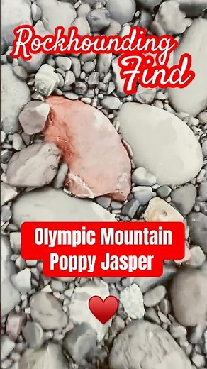 Hidden Jasper Treasure Revealed by Rain | Rockhounding Washington’s Olympic Mountains 🌧️💎