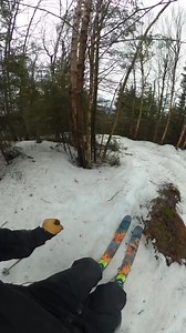 Typical East Coast glade skiing...🌲🌲🌲 Drop the name of the resort with the best tree skiing👇️ ⛷️ @bennymikes | Ski The East