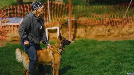 How structured play becomes a powerful training tool