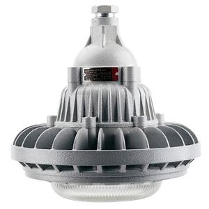 [Hot Item] High Quality Explosion Proof Flood Light 50W 60W Explosion Proof High Bay Light Hazardous Arean LED Explosion-Proof Lamp