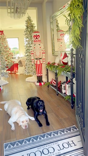 Go big or go home! ✨🌲Your Christmas entryway sets the tone for your whole Christmas decor vibe. #christmastree #christmasdecor #Christmas #christmasdecorations #modernfarmhouseglam | Modern Farmhouse Glam