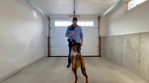 Ever wondered how to teach your dog the 'through' command? Trainer Owen from Off Leash K9 Training is about to reveal his expert tips and tricks! 🎥 Watch this video to unlock a whole new level of communication with your four-legged buddy. 🐾🙌 📲: 888.547.1864 💻: http://dogtrainersboston.com • • • #offleashdogtrainers #olk9 #instak9 #doglife #dogsofinstagram #pupsofinstagram #dogsoffacebook #k9life #offleashlife | Greater Boston Dog Training: Off Leash K9 Training