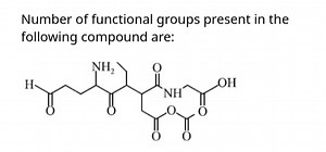 Number of functional groups present in the following compound a... | Filo