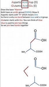 Aspartic and Glutamic Acid | How to Instantly Memorize Amino Acids Structures #aminoacids #mnemonics