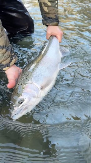 Picture perfect! 📸 🔥