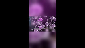 The rise of colon cancer in individuals under 50