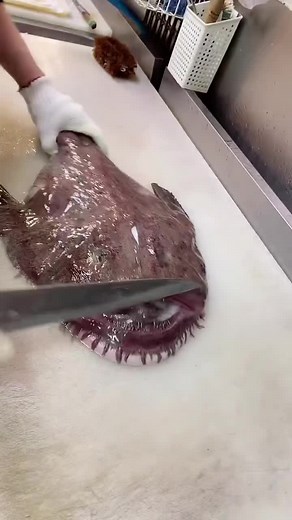 How to Properly Fillet a Large Fish