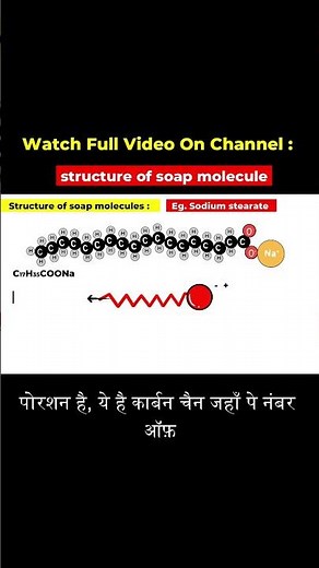 Structure of soap molecule