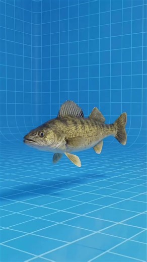 Doi Gebetan Temen Keluarga Kalian