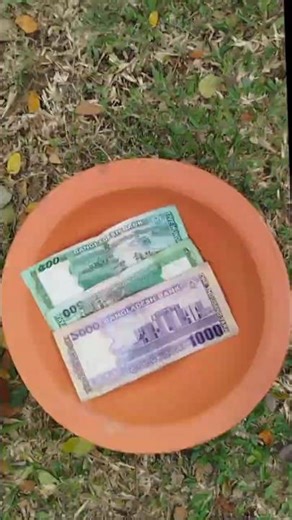 Money surprise lid scene 🤣💰#pilipinas #napoli #indiancomedy #sotsvideos 🙆🏻‍♂️😲