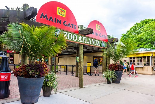 Visit Zoo Atlanta - Get Zoo Info, Insider Tips & Ticket Discounts | Discover Atlanta