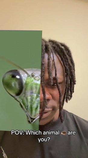 AlienSkin ug (@alienskinug)’s videos with Kamasu - Alien Skin Official