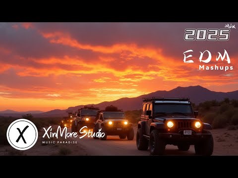 EDM音乐混音2025 🎧 经典歌曲EDM混音版 🎧 低音增强音乐混音