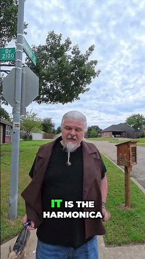 Best Beginner Harmonica For Just $20!