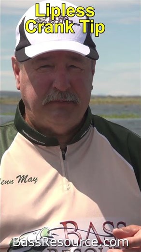 Lipless Crankbait Myth #springbassfishing #bassfishingtips #crankbaitfishing