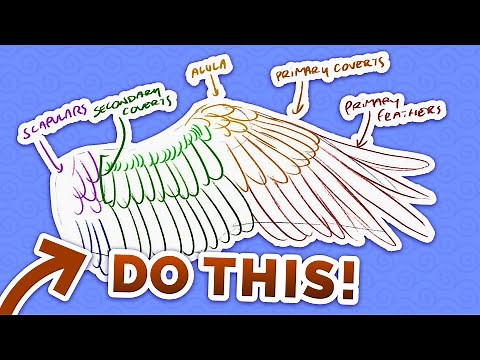 Don't Draw WINGS Like This!