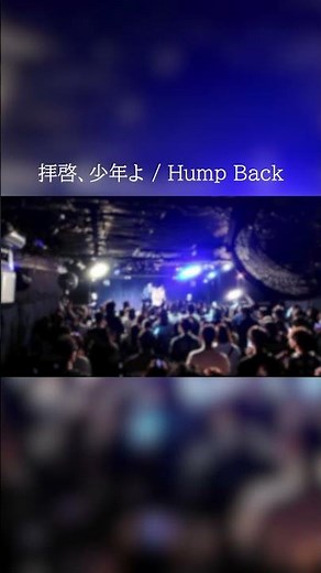 拝啓、少年よ ライブ映像