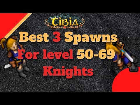 Best Spawns to PG a Knight Level 50.