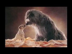 Andrex 'Puppy' Toilet Tissue 1988 TV Commercial