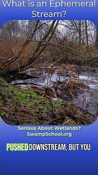 What is an Ephemeral Stream?