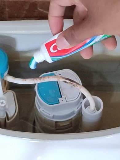 Truco casero para limpiar el inodoro con pasta de dientes