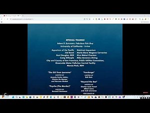 Closing to Finding Nemo DVD (2003) with 24 Pitch