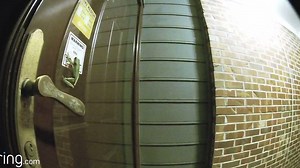 8.3K views · 44 reactions | This visitor stuck around until Paul returned home from the gym. #AlwaysHome | Ring | Facebook