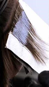 Vivid Hair Placement & Technique ✨ #PulpRiotHair