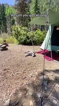 Camping In a Canvas Tent With My Dog