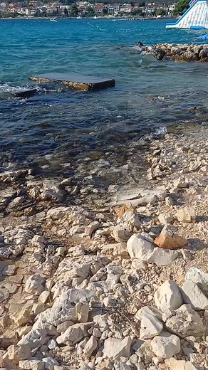 3.3K views · 49 reactions | #dog #beach #rogoznica #croatia | Cestovateľka | Facebook