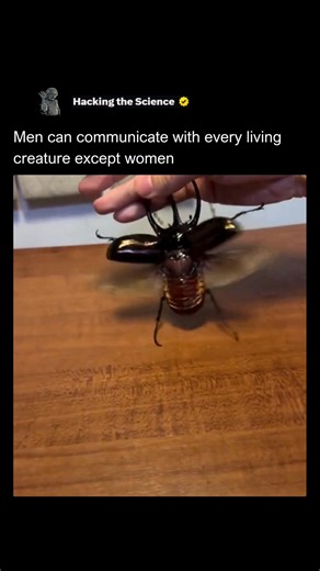 Hacking The Science on Instagram: "This humorous statement playfully highlights a common, often exaggerated, trope about communication! "Men can communicate with every living creature except women" is a classic bit of observational humor that plays on perceived differences in communication styles. It's a lighthearted jab at the complexities of human relationships. We're exploring the lighter side of communication challenges, using humor to acknowledge the sometimes perplexing dynamics between ge