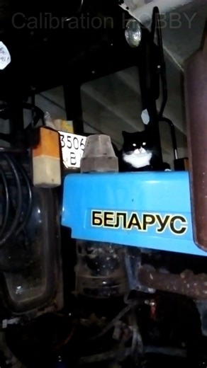Трактор БЕЛАРУС🚜 #shorts #short #shortvideo #shortvideos