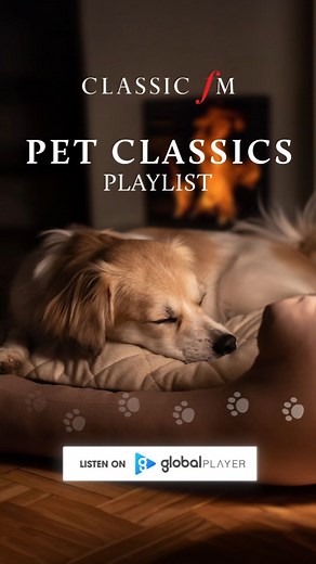 14K views · 509 reactions | If your pets would enjoy a moment of peace and calm, introduce them to our special Pet Classics playlist on @GlobalPlayer, specially designed for furry friends who might find fireworks season stressful.  Listen via the link in our bio. | Classic FM | Facebook