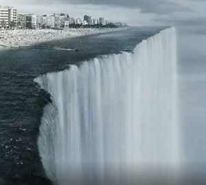 95K views · 297 reactions | Just Magic | The Animal Zone | Facebook