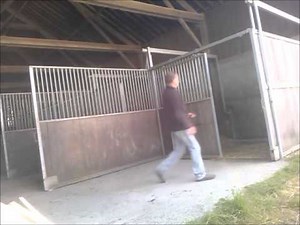 Comment faire 10 boxes de chevaux en trois quart d'heure :)