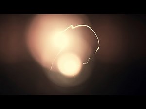 GABRIELLE CHANEL Hair Mist, the film with Margot Robbie – CHANEL Fragrance