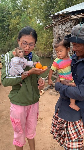 Adorable baby monkey to play ha[ppy with family | Monkey ROJO