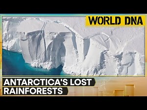 Fossils Reveal Temperate Antarctica 90 Million Years Ago | WION World DNA