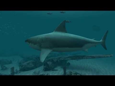 Sharks - Great White 3D Screensaver Trailer