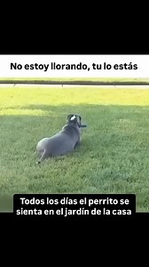 #triste | Memes y mas