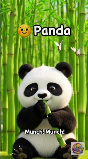 Learn the Letter P | Words, & Sounds (Panda 🐼 | Pizza 🍕 | Parrot 🦜)